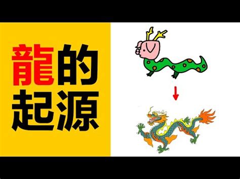 龍特徵|龍